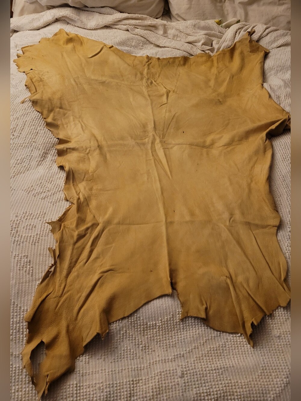 1950s Buckskin Hide